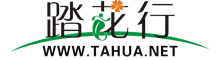 踏花行网站标志logo
