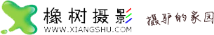橡树摄影网标志logo