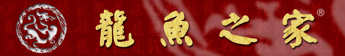 龙鱼之家标志logo