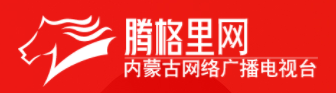 腾格里网标志logo