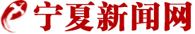 宁夏新闻网标志logo