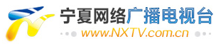 宁夏广播电视台官网标志logo