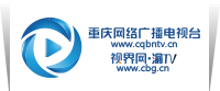 视界网标志logo
