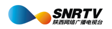 陕西网络广播电视台标志logo