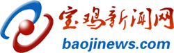 宝鸡新闻网标志logo