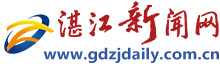 湛江新闻网标志logo