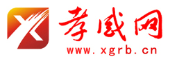 孝感网标志logo