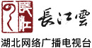 长江云网站标志logo