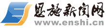 恩施新闻网标志logo