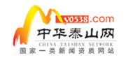 中华泰山网标志logo