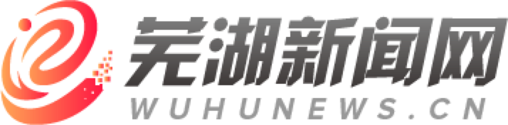 芜湖新闻网标志logo