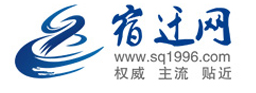 宿迁网标志logo