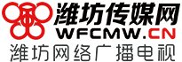 潍坊传媒网标志logo