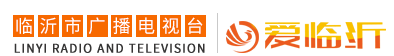 爱临沂网标志logo