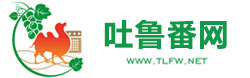 吐鲁番网标志logo