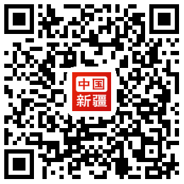 新疆政务服务APP