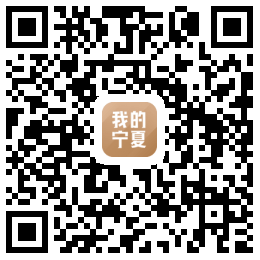 我的宁夏APP