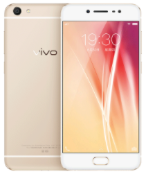 vivo X7有什么颜色？